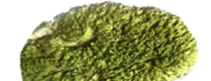 Moldavit – Naturstein online kaufen