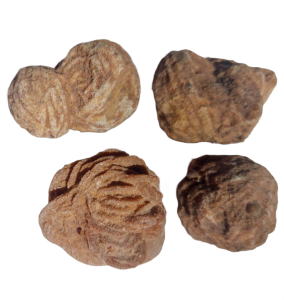 Barytrose250111